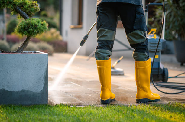 Best Local Pressure Washing Services  in Truth Or Consequences, NM